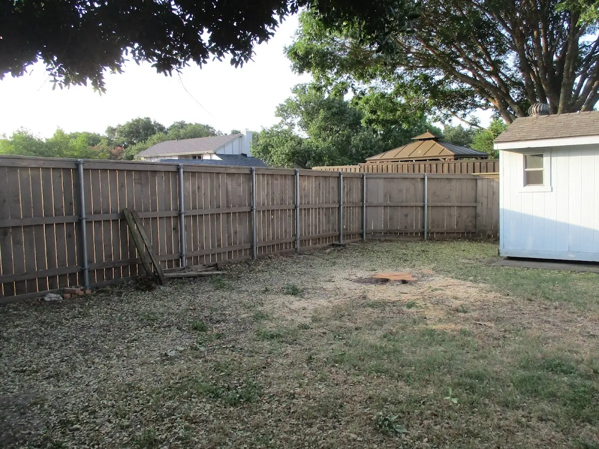 Cleared yard after professional tree removal in Avenue